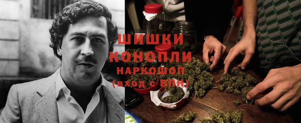 молекула духа Нея